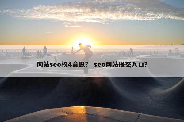 网站seo权4意思？ seo网站提交入口？