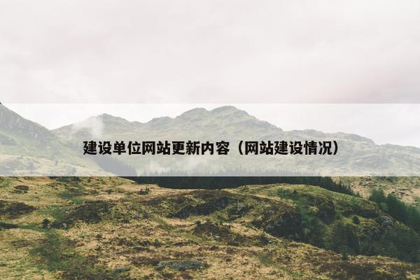 建设单位网站更新内容（网站建设情况）