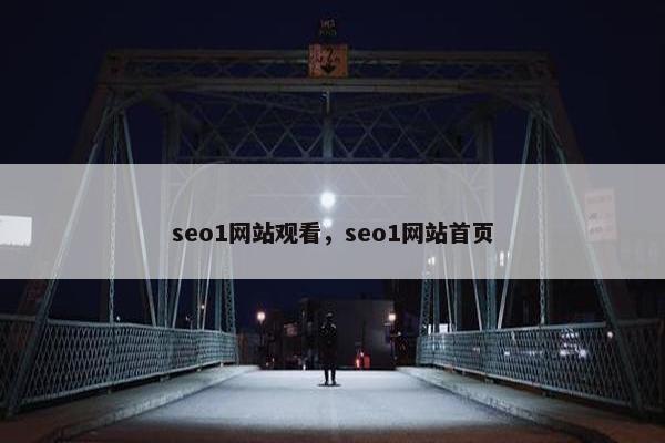 seo1网站观看，seo1网站首页