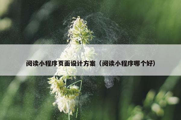 阅读小程序页面设计方案（阅读小程序哪个好）