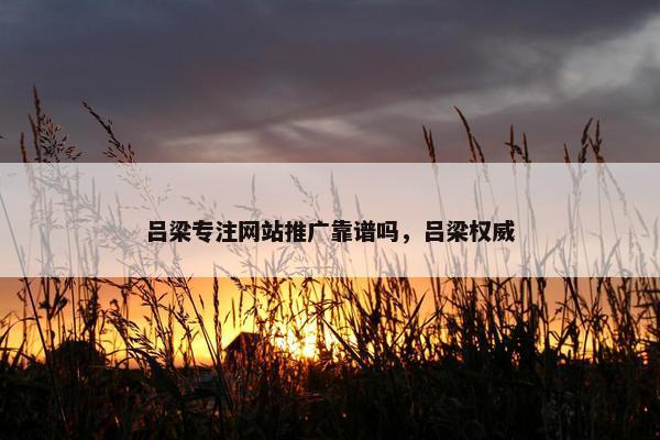吕梁专注网站推广靠谱吗，吕梁权威
