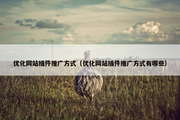 优化网站插件推广方式（优化网站插件推广方式有哪些）
