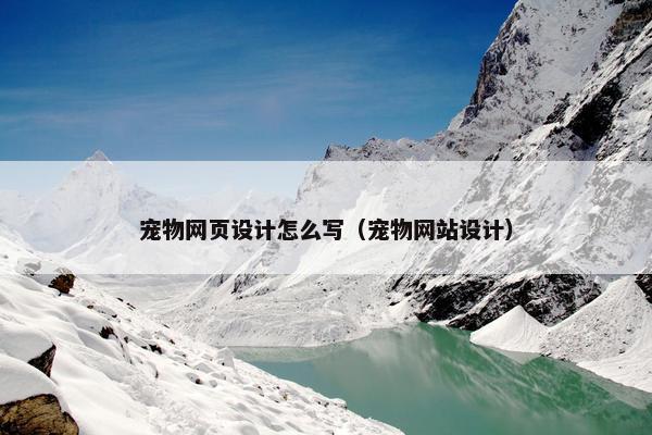宠物网页设计怎么写（宠物网站设计）