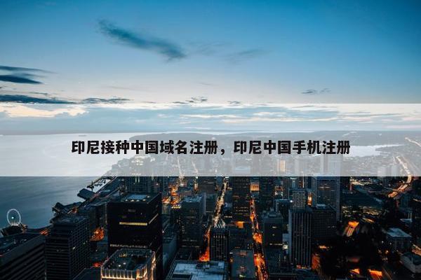 印尼接种中国域名注册，印尼中国手机注册