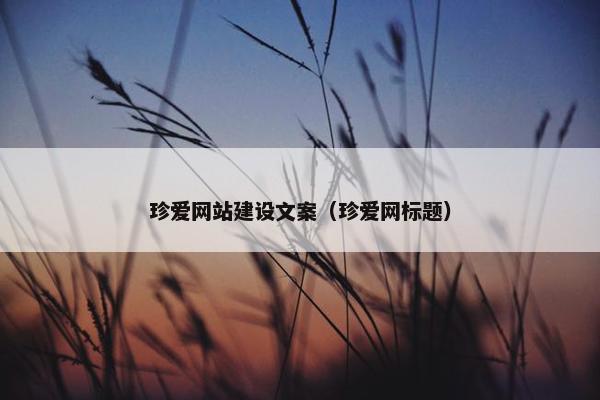 珍爱网站建设文案（珍爱网标题）