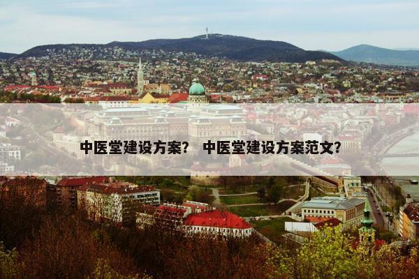 中医堂建设方案？ 中医堂建设方案范文？