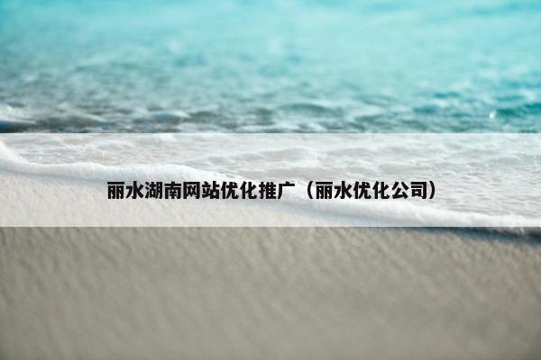 丽水湖南网站优化推广（丽水优化公司）