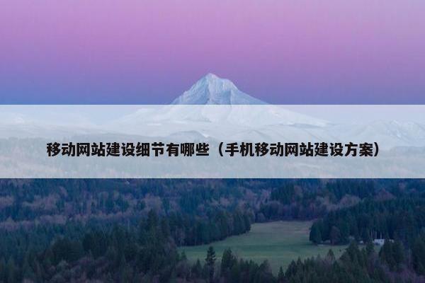 移动网站建设细节有哪些（手机移动网站建设方案）