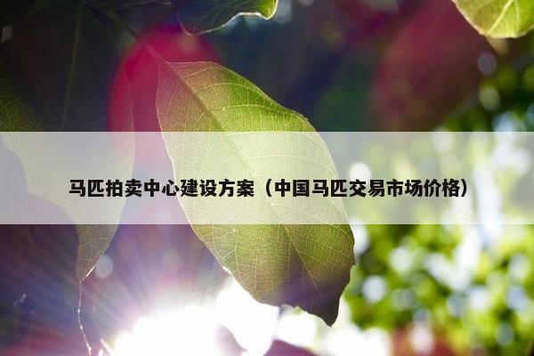 马匹拍卖中心建设方案（中国马匹交易市场价格）