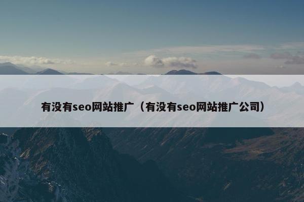 有没有seo网站推广（有没有seo网站推广公司）