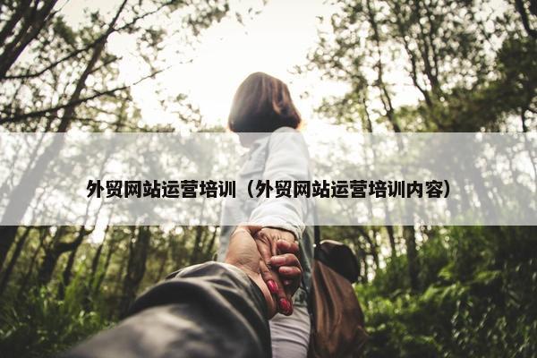 外贸网站运营培训（外贸网站运营培训内容）