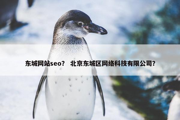 东城网站seo？ 北京东城区网络科技有限公司？