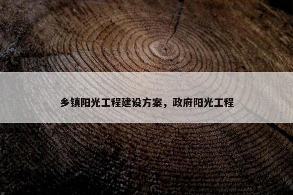 乡镇阳光工程建设方案，政府阳光工程
