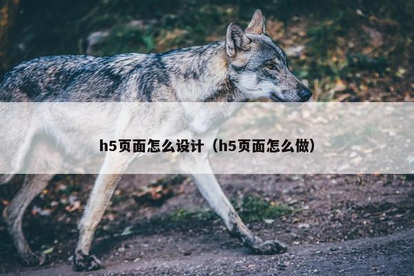 h5页面怎么设计（h5页面怎么做）