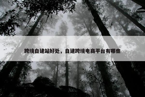 跨境自建站好处，自建跨境电商平台有哪些