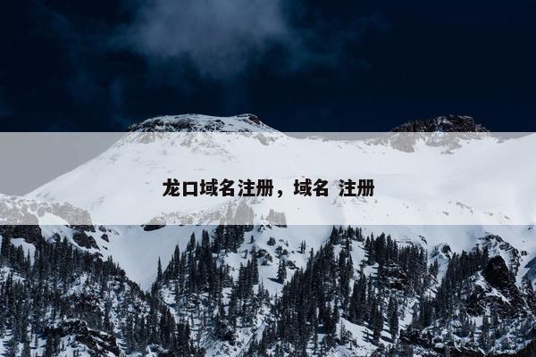 龙口域名注册，域名 注册