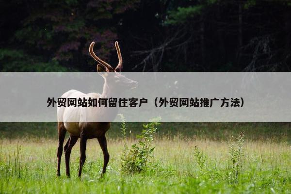 外贸网站如何留住客户（外贸网站推广方法）