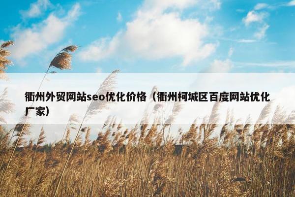衢州外贸网站seo优化价格（衢州柯城区百度网站优化厂家）