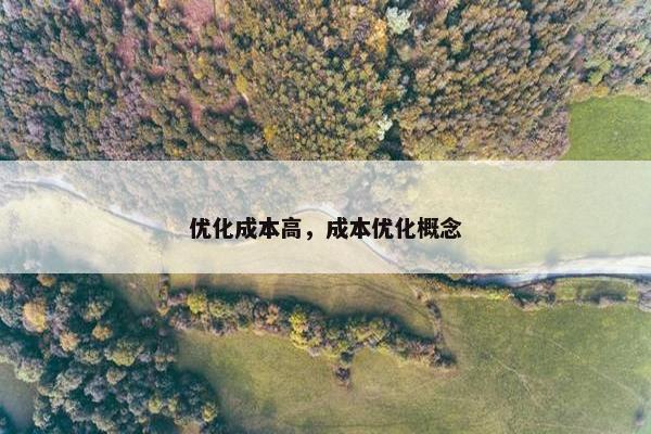 优化成本高，成本优化概念