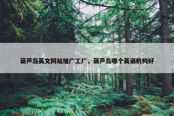 葫芦岛英文网站推广工厂，葫芦岛哪个英语机构好