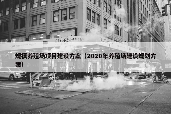 规模养殖场项目建设方案（2020年养殖场建设规划方案）