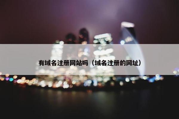 有域名注册网站吗（域名注册的网址）