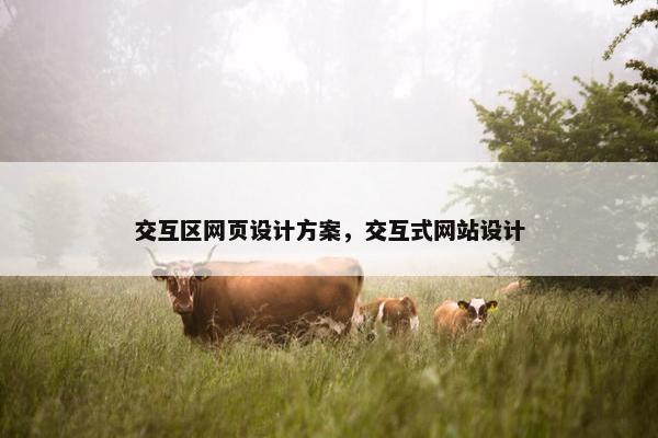 交互区网页设计方案，交互式网站设计