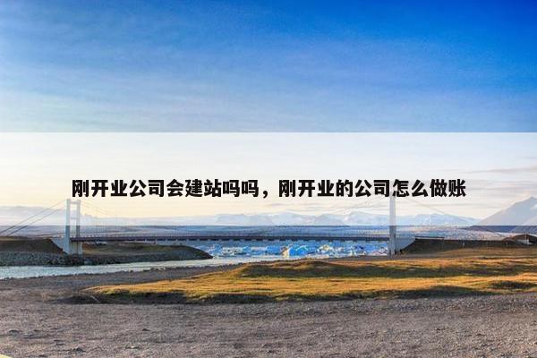 刚开业公司会建站吗吗，刚开业的公司怎么做账