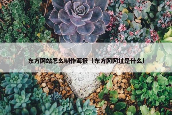 东方网站怎么制作海报（东方网网址是什么）
