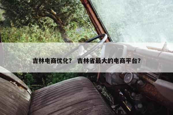 吉林电商优化？ 吉林省最大的电商平台？