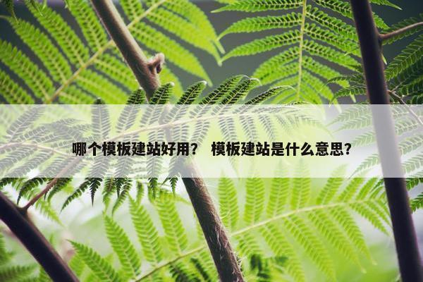 哪个模板建站好用？ 模板建站是什么意思？