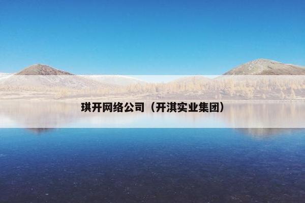 琪开网络公司（开淇实业集团）