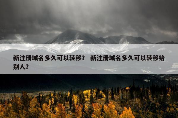 新注册域名多久可以转移？ 新注册域名多久可以转移给别人？