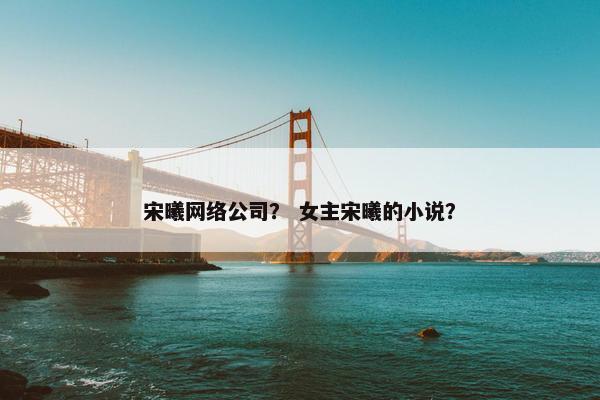 宋曦网络公司？ 女主宋曦的小说？