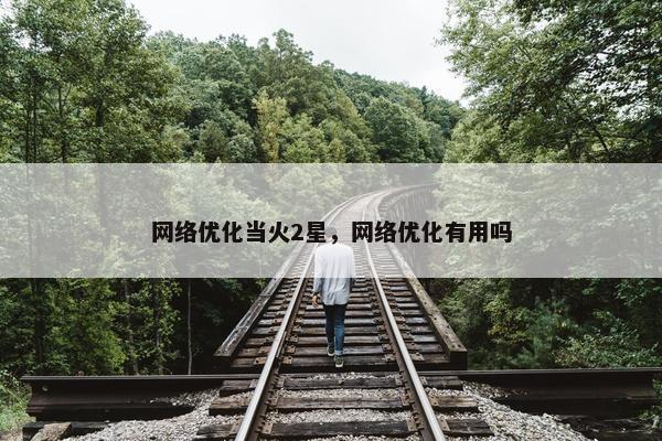 网络优化当火2星，网络优化有用吗