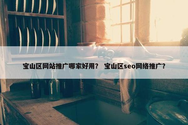 宝山区网站推广哪家好用？ 宝山区seo网络推广？