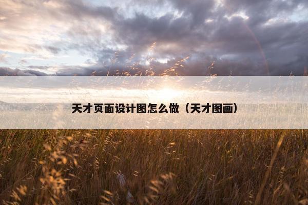 天才页面设计图怎么做（天才图画）