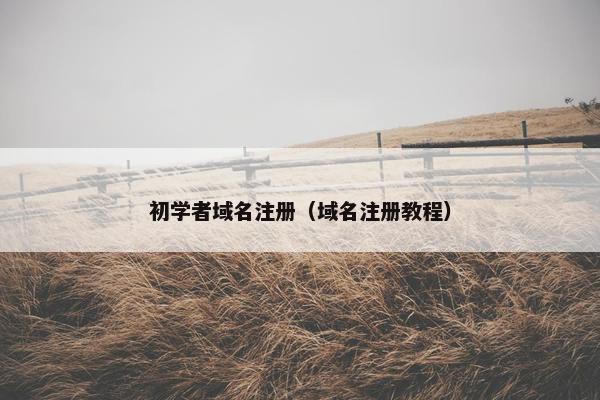 初学者域名注册（域名注册教程）