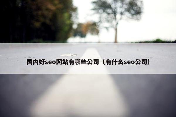 国内好seo网站有哪些公司（有什么seo公司）