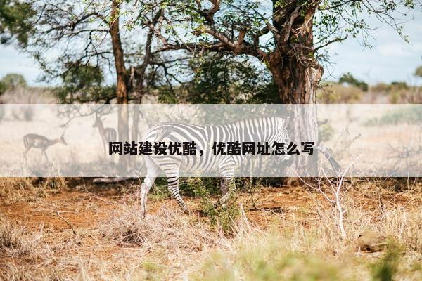 网站建设优酷，优酷网址怎么写