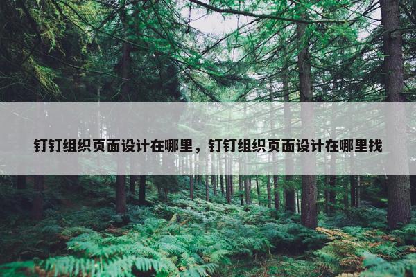 钉钉组织页面设计在哪里，钉钉组织页面设计在哪里找