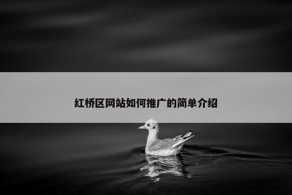 红桥区网站如何推广的简单介绍