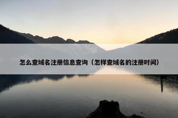 怎么查域名注册信息查询（怎样查域名的注册时间）