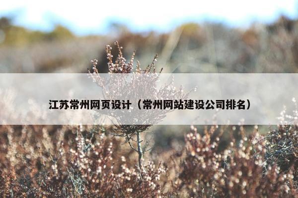 江苏常州网页设计（常州网站建设公司排名）
