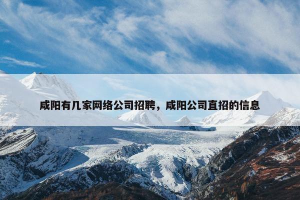 咸阳有几家网络公司招聘，咸阳公司直招的信息