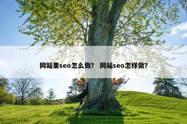 网站里seo怎么做？ 网站seo怎样做？