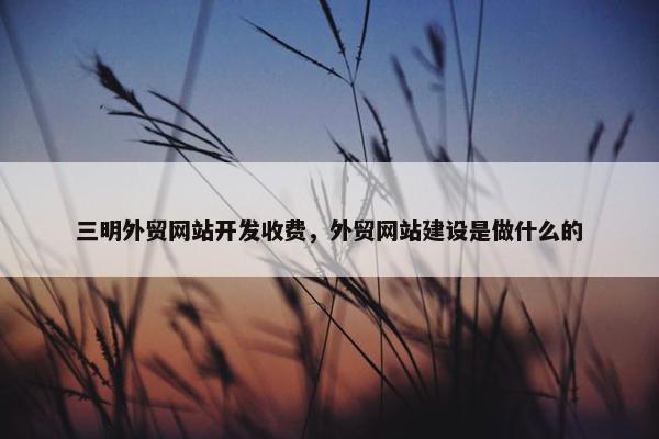 三明外贸网站开发收费，外贸网站建设是做什么的