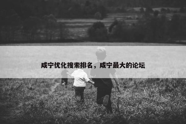 咸宁优化搜索排名，咸宁最大的论坛