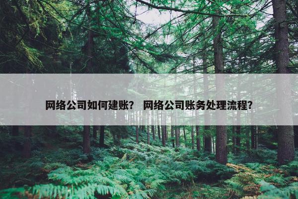 网络公司如何建账？ 网络公司账务处理流程？