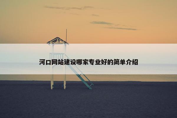 河口网站建设哪家专业好的简单介绍